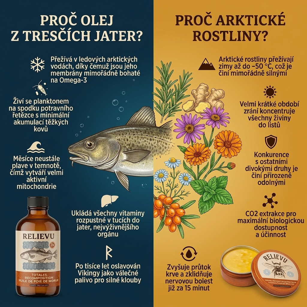 Ritualul suprem pentru regenerarea articulațiilor