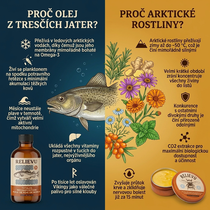 Ritualul suprem pentru regenerarea articulațiilor